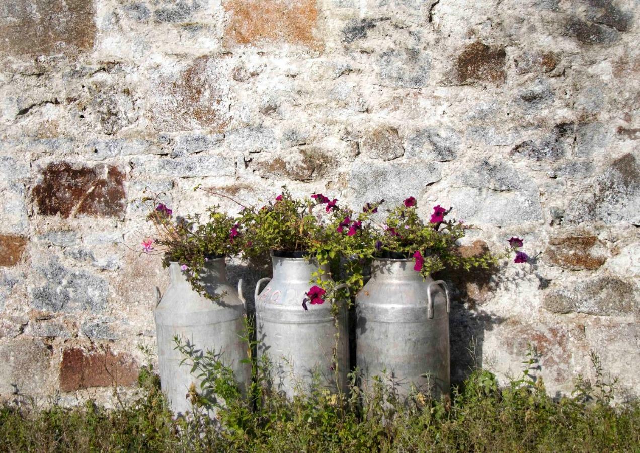 Bramble Cottage Rathfriland Dış mekan fotoğraf