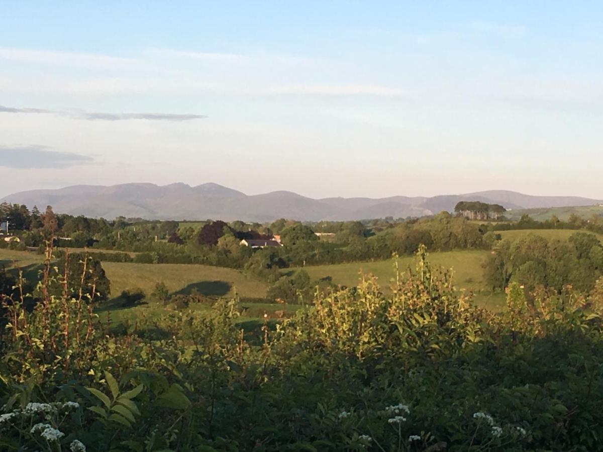 Bramble Cottage Rathfriland Dış mekan fotoğraf